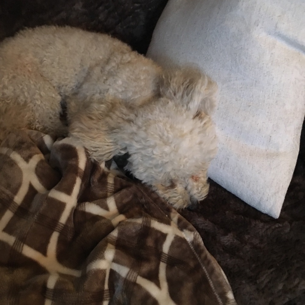 Meet your Posher, Marmaria